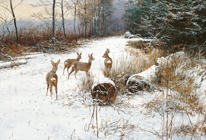 Roe deer family -O