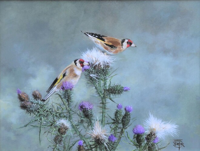 Goldfinches