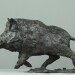 Wild boar-B