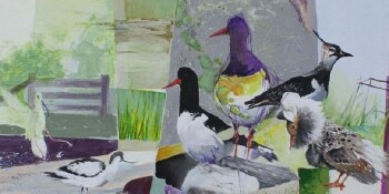 Meadow birds - M