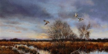 Ducks